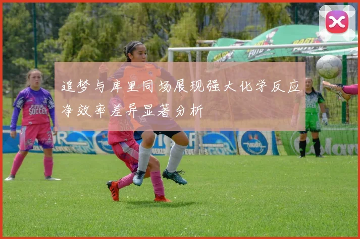 追梦与库里同场展现强大化学反应净效率差异显著分析