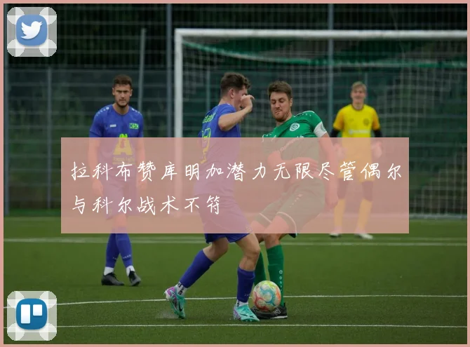 拉科布赞库明加潜力无限尽管偶尔与科尔战术不符