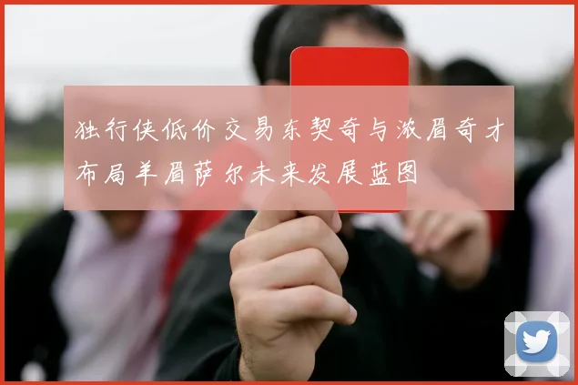 独行侠低价交易东契奇与浓眉奇才布局羊眉萨尔未来发展蓝图