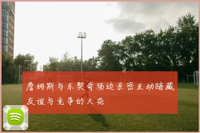 詹姆斯与东契奇场边亲密互动暗藏友谊与竞争的火花