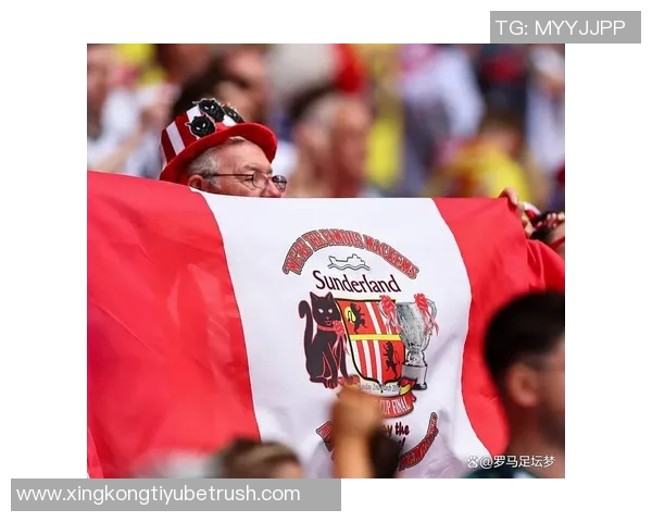 费迪南德称赞拉门斯在对桑德兰的表现增强全队信心展现稳健风范 费迪南德称赞拉门斯在对桑德兰的表现增强全队信心展现稳健风范