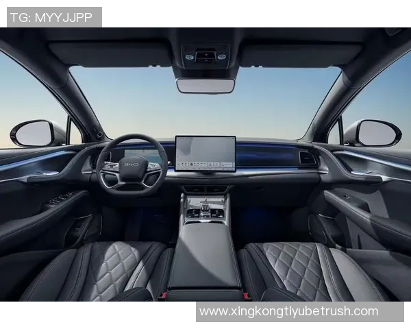 法兰克福高层访问中国与比亚迪洽谈9000万欧球场冠名合作